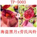 Nepenthes（viking x ampullaria  black miracle ） x（lowii x campanulata）
