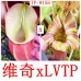Nepenthes Veitchii xLVTP