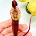 Nepenthes（Maxima x Boschiana）x （(ventricosa x sibuyanensis) x Jacquelineae）
