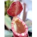 Nepenthes Mirabilis red strip