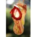 Nepenthes Burkei