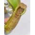 Nepenthes Veitchii x（Thorelii x Northiana）