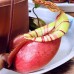 Nepenthes Vking x Ampullaria x Veitchii bario