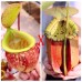 Nepenthes（viking x kuchingensis） x （bicalcarata x northiana）
